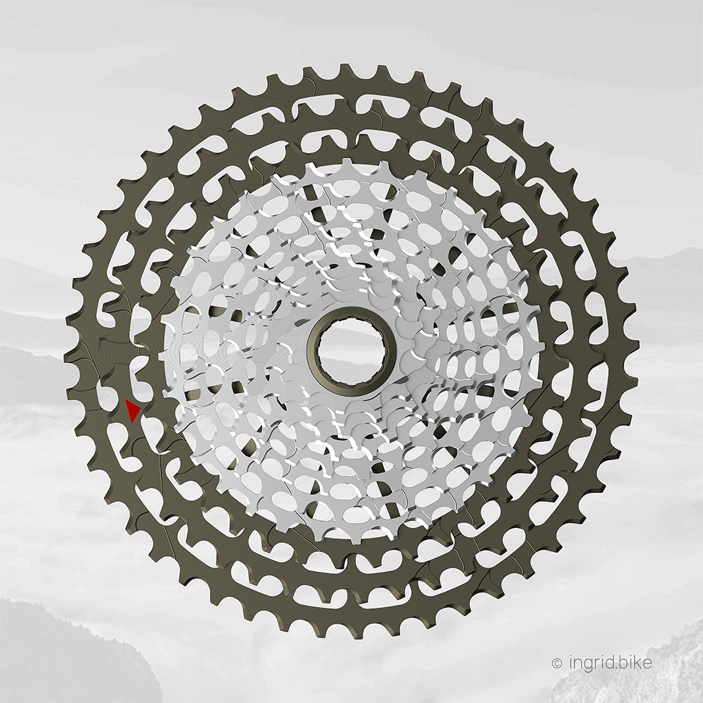 Cassette Ingrid 48T10 12S (SRAM XD) 10-48T