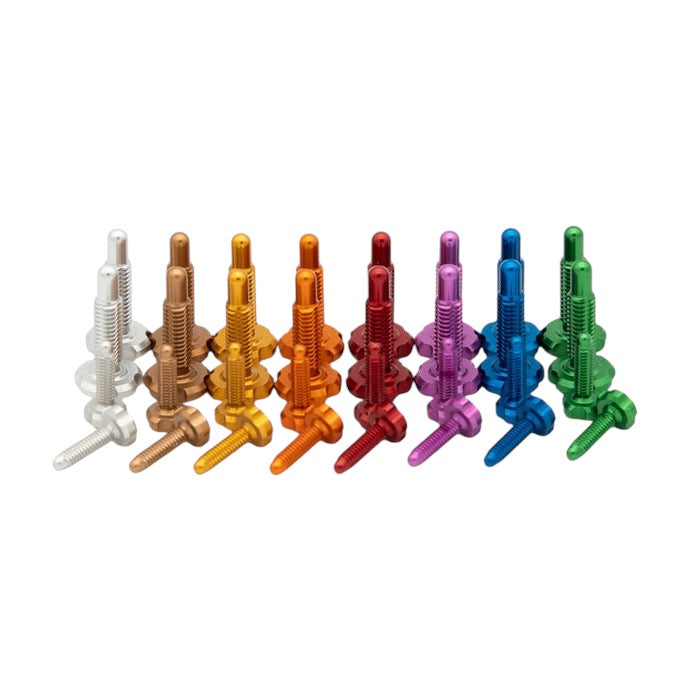 OAK RLP Screw Kit - para Magura