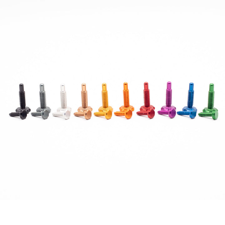 OAK RLP Screw Kit - para Magura