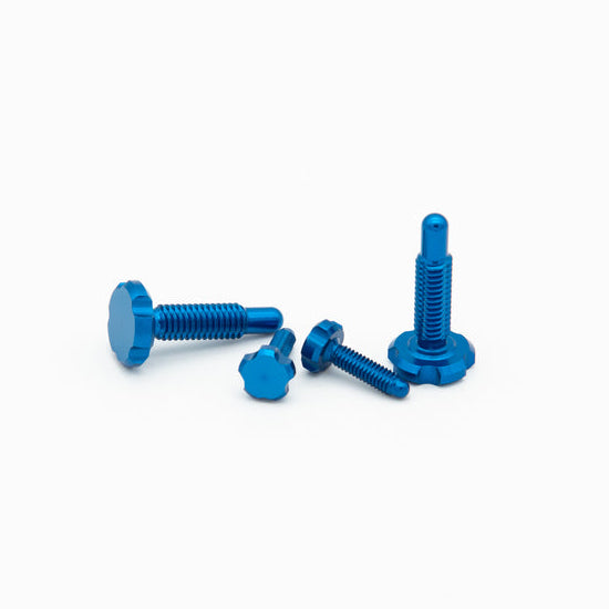 OAK RLP Screw Kit - para Magura