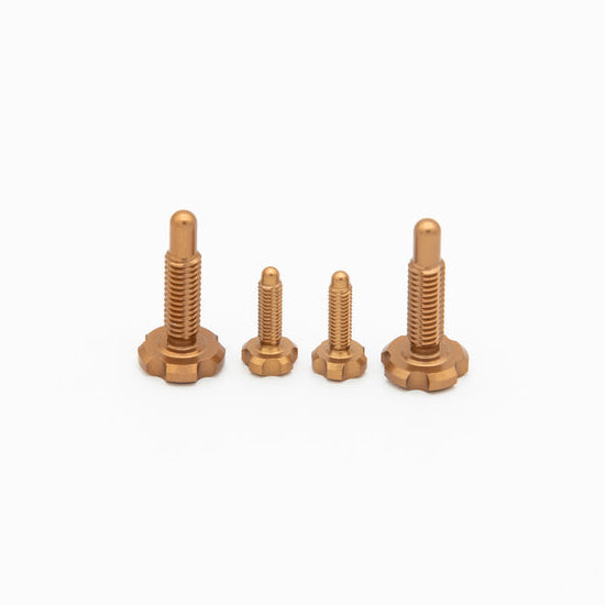 OAK RLP Screw Kit - para Magura