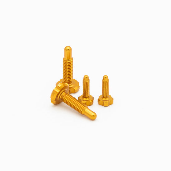 OAK RLP Screw Kit - para Magura