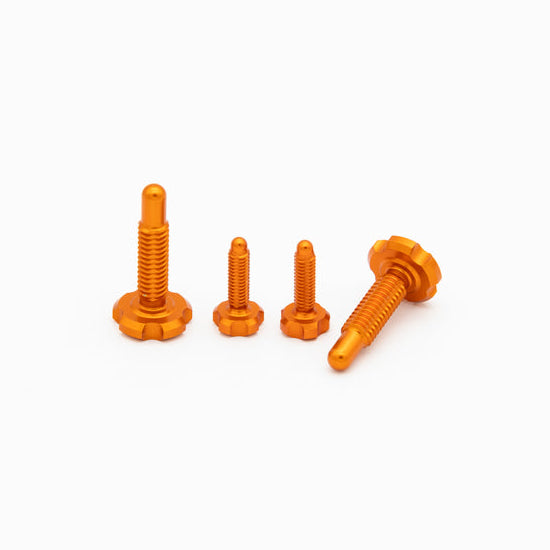 OAK RLP Screw Kit - para Magura