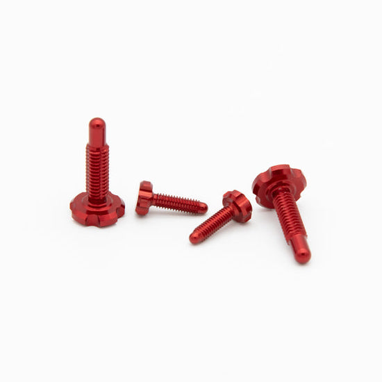 OAK RLP Screw Kit - para Magura